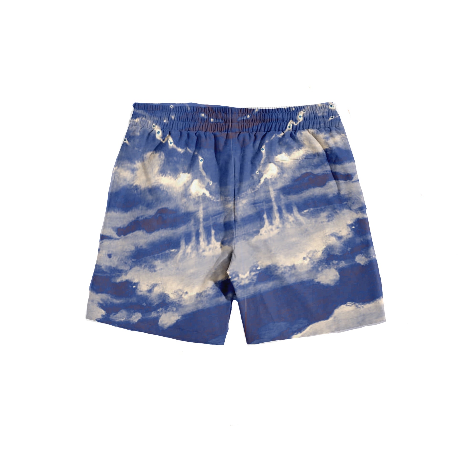 Dreamscape Shorts - BLUE
